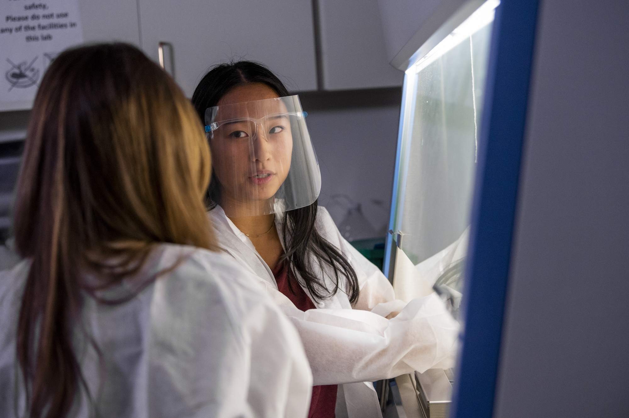 Undergraduate Research Learning