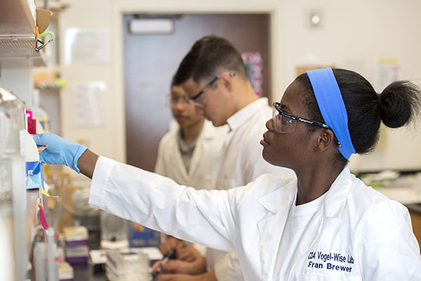 student in chemistry lab