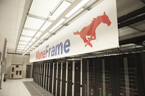 maneframe computer banner photo