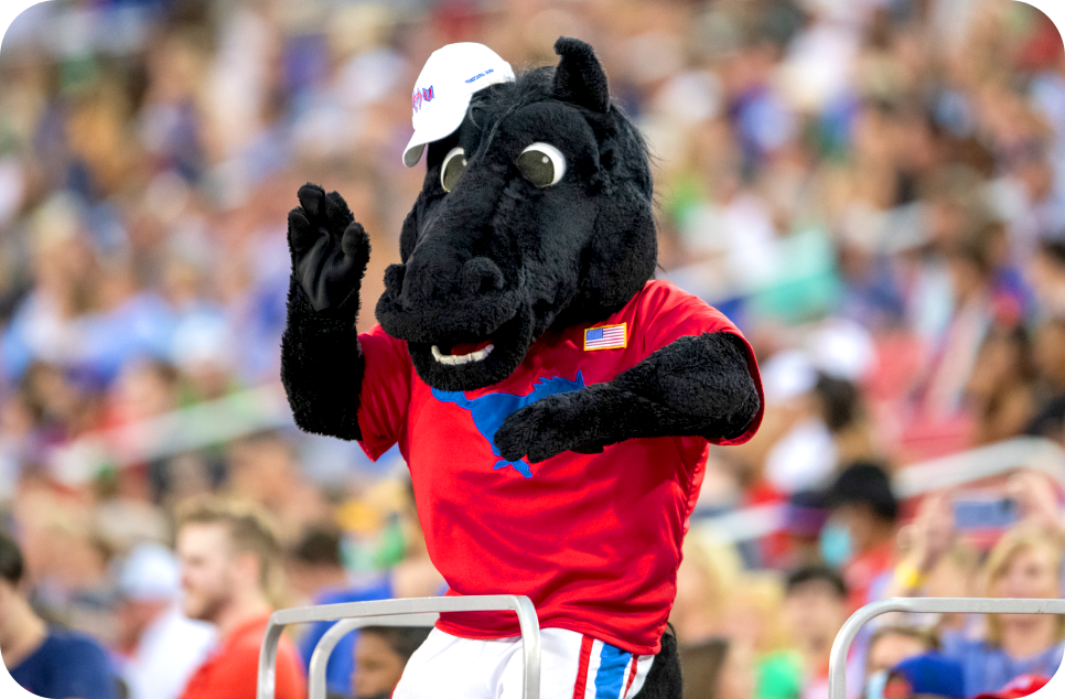 Peruna Mascot at the game